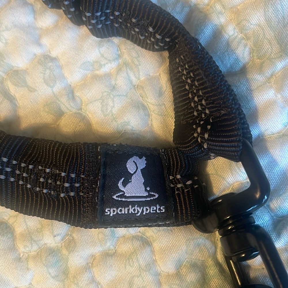 Double the fun dog leash!